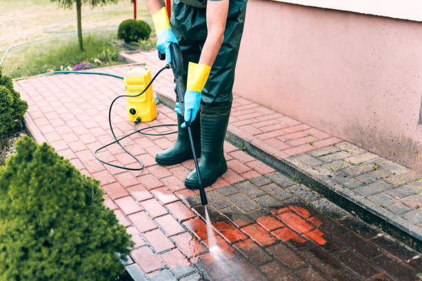 Best Roof Power Washing Services  in Poynette, WI