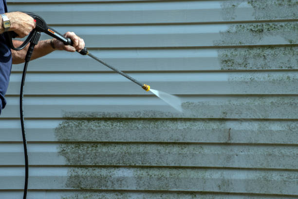 Best Deck Cleaning Services  in Poynette, WI